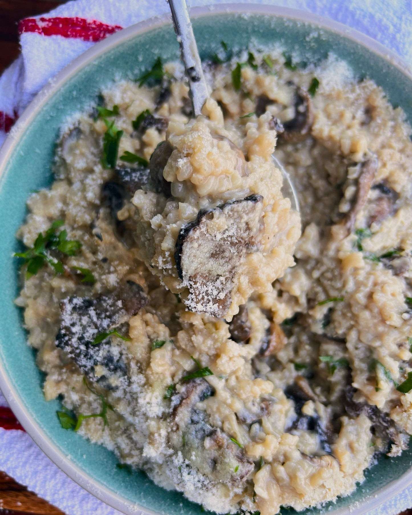 Mushroom Risotto with Parmesan